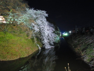 31730208_Unknown.jpeg