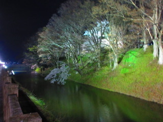 31730224_Unknown.jpeg