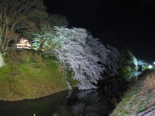 31730240_Unknown.jpeg
