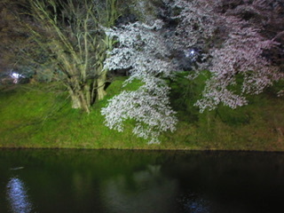 31730272_Unknown.jpeg