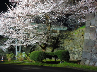 31730320_Unknown.jpeg